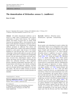 The domestication of Helianthus annuus L. (sunflower)