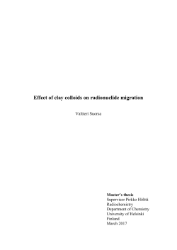 Effect of clay colloids on radionuclide migration