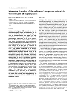 Molecular domains of the cellulose/xyloglucan network in the cell