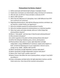 Photosynthesis Test Review- Chapter 8 1. Define autotroph and