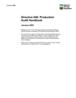 Directive 046: Production Audit Handbook