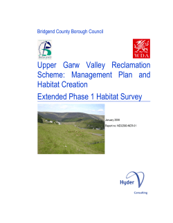 Upper Garw Phase 1 Habitat Survey