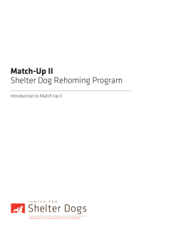 Match-Up II Shelter Dog Rehoming Program