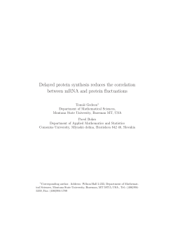 Delayed protein synthesis reduces the correlation