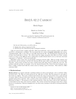 Bis2A 02.2 Carbon