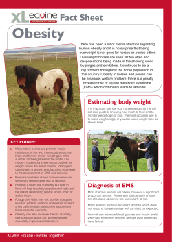 Obesity - Endell Equine