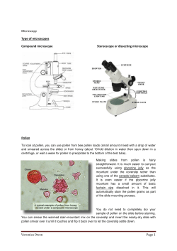 Veronica Owen Page 1 Microscopy Type of microscopes Compound