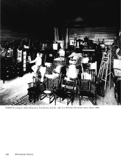 Consumers` choices : a study of household furnishing, 1880