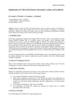 Optimization of CARA Fuel Element with negative coolant void
