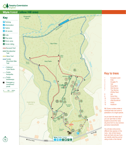 Wyre tree map