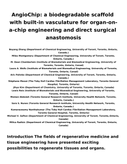 AngioChip: a biodegradable scaffold with built