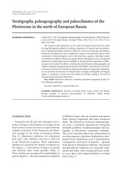 Stratigraphy, paleogeography and paleoclimates of