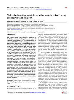 Molecular investigation of the Arabian horse breeds of racing