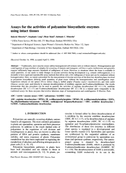 Assays for the activities of polyamine biosynthetic enzymes using