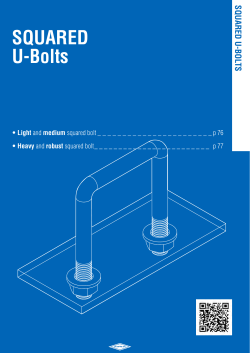 SQUARED U-Bolts - PI.EFFE.CI. Srl