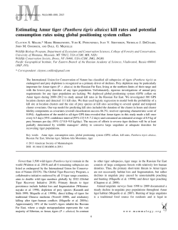 Estimating Amur tiger (Panthera tigris altaica) kill rates and potential