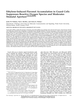Ethylene-Induced Flavonol Accumulation in Guard Cells