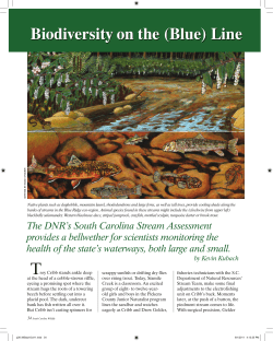 biodiversity on the (blue) line