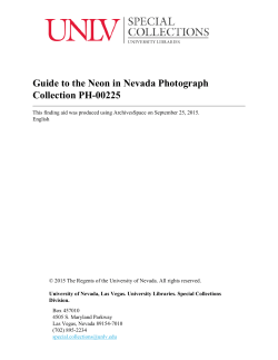 Guide to the Neon in Nevada Photograph