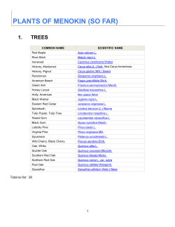 Access PDF (Original)