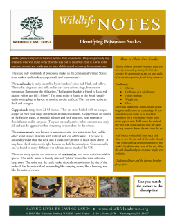 Identifying Poisonous Snakes Identifying Poisonous Snakes