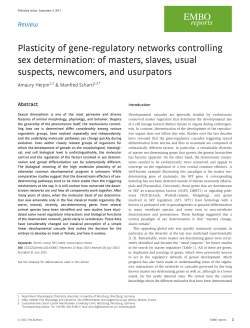 Plasticity of gene-regulatory networks controlling sex determination