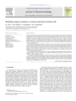 Modeling oxygen transport in human placental terminal villi