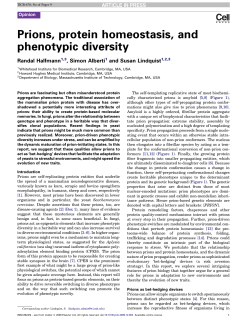 Prions, protein homeostasis, and phenotypic diversity