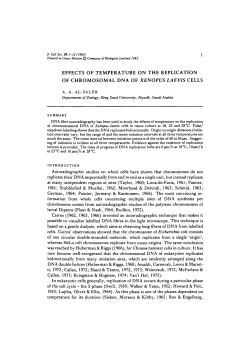 effects of temperature on the replication of chromosomal dna of