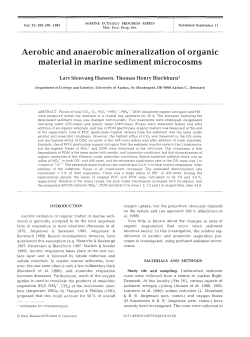 Aerobic and anaerobic mineralization of organic material in marine