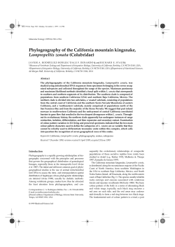 Phylogeography of the California mountain kingsnake