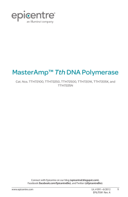Protocol for MasterAmp&trade; Tth DNA Polymerase