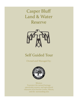 Casper Bluff - Galena Log Cabin Getaway