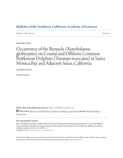 on Coastal and Offshore Common Bottlenose Dolphins