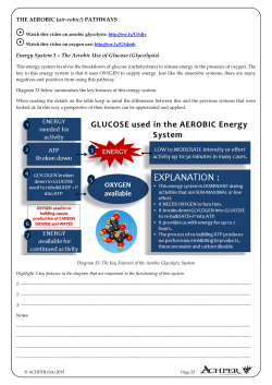 THE AEROBIC (air-robic!) PATHWAYS Energy System 1 &ndash; The