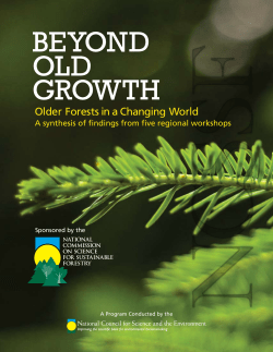 Beyond Old Growth