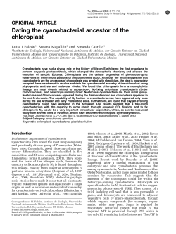 Dating the cyanobacterial ancestor of the chloroplast