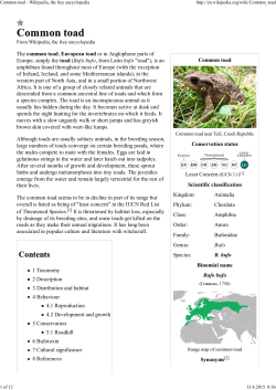 Common toad - Wikipedia, the free encyclopedia