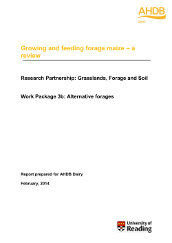 Growing and feeding forage maize &ndash; a review