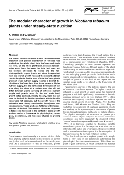 The modular character of growth in Nicotiana tabacum plants under