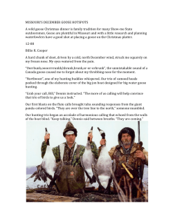 MISSOURI`S DECEMBER GOOSE HOTSPOTS A wild goose
