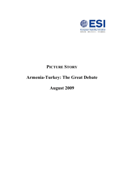 PDF - European Stability Initiative