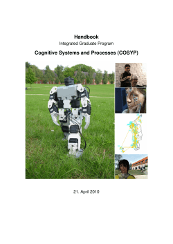 Handbook Cognitive Systems and Processes