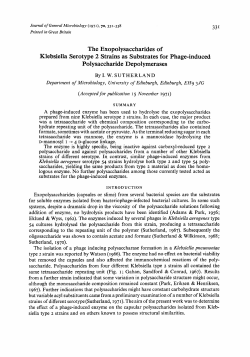 The Exopolysaccharides of Klebsiella Serotype 2