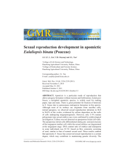 Sexual reproduction development in apomictic Eulaliopsis binata