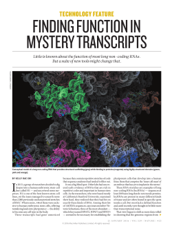 finding function in mystery transcripts