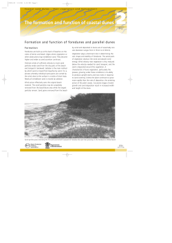 Formation and function of foredunes and parallel dunes