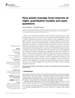 How plants manage food reserves at night