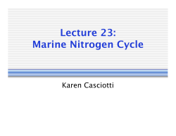 Marine Nitrogen Cycle Lecture 23:
