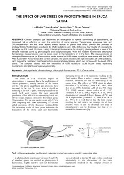the effect of uvb stress on photosynthesis in eruca sativa